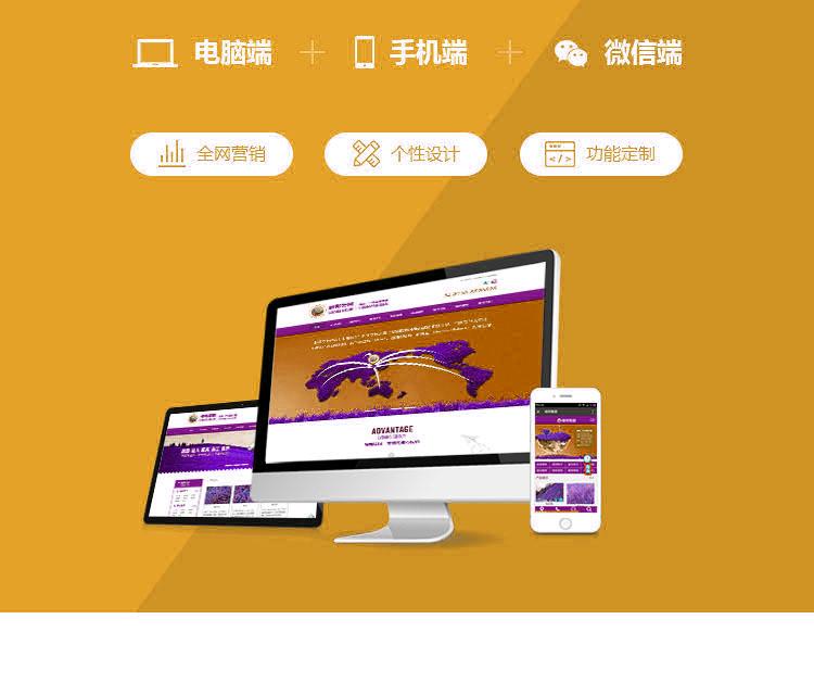 企業(yè)網(wǎng)站建設(shè)